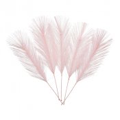 Pskfjdrar Ljusrosa - 5st