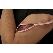 Latexsr med dragkedja (hudlim & blod ingr ej)