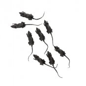 Rttor - 8st, 5cm + svans