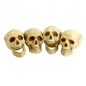 Ddskalle - 4st, 16cm