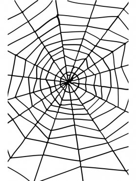 Spindeln�t med Spindel Svart 1,5m, Halloween
