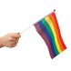 Prideflaggor - 6st