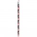 Piratpennor med sudd - 12 st