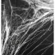 Spindeln�t Vit - 60g