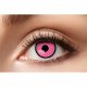 Linser Rosa med svart ram, veckolinser