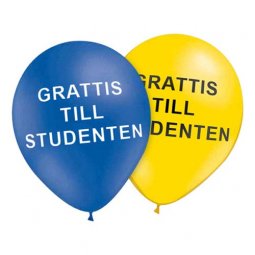  Ballonger Student, gula & blå - 24st 
