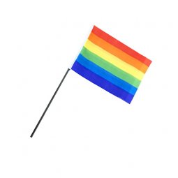  Prideflagga på pinne - 1st, 30x40cm 